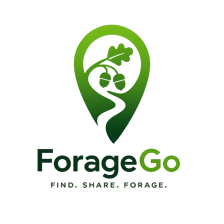 ForageGo